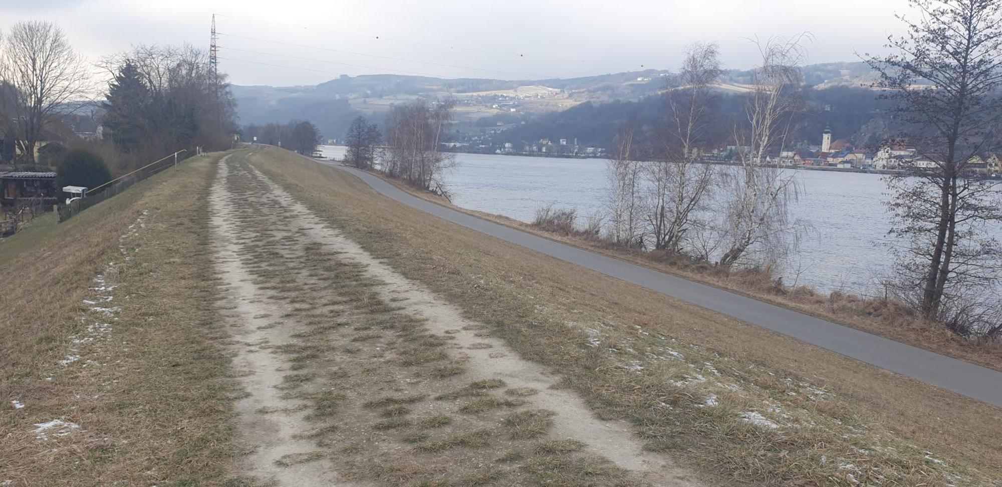 Apartment An Der Donau Krumnussbaum Bagian luar foto